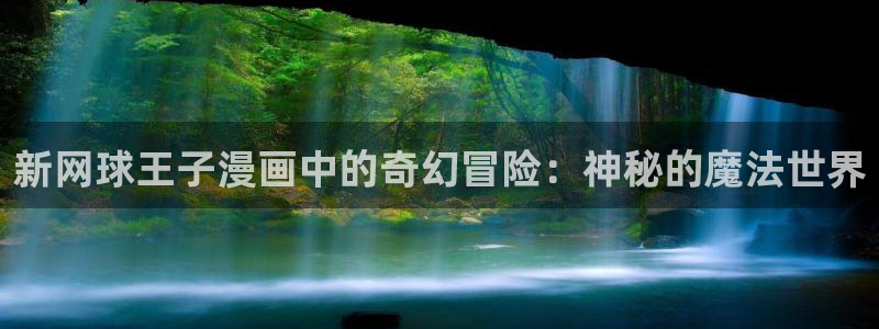 51动漫新石纪：新网球王子漫画中的奇幻冒险：神秘的魔法世界