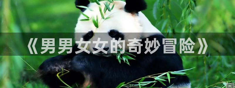 辛普森一家51动漫：《男男女女的奇妙冒险》