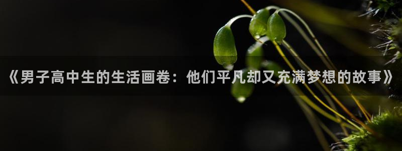 重返十七岁51动漫：《男子高中生的生活画卷：他们平凡却又充满梦想的故事》