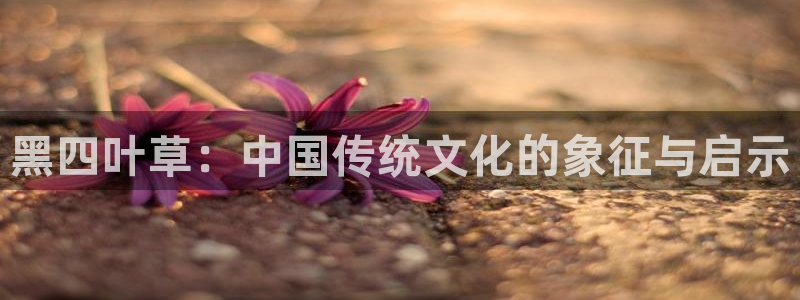 51漫画大全91：黑四叶草：中国传统文化的象征与启示