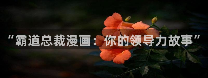 51漫画免费vip账户：“霸道总裁漫画：你的领导力故事”