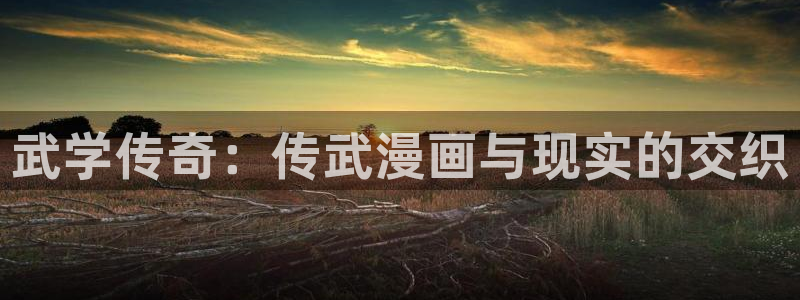 异世界无敌的我51动漫：武学传奇：传武漫画与现实的交织