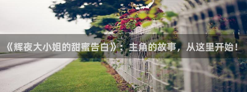 51漫画阅读免费版：《辉夜大小